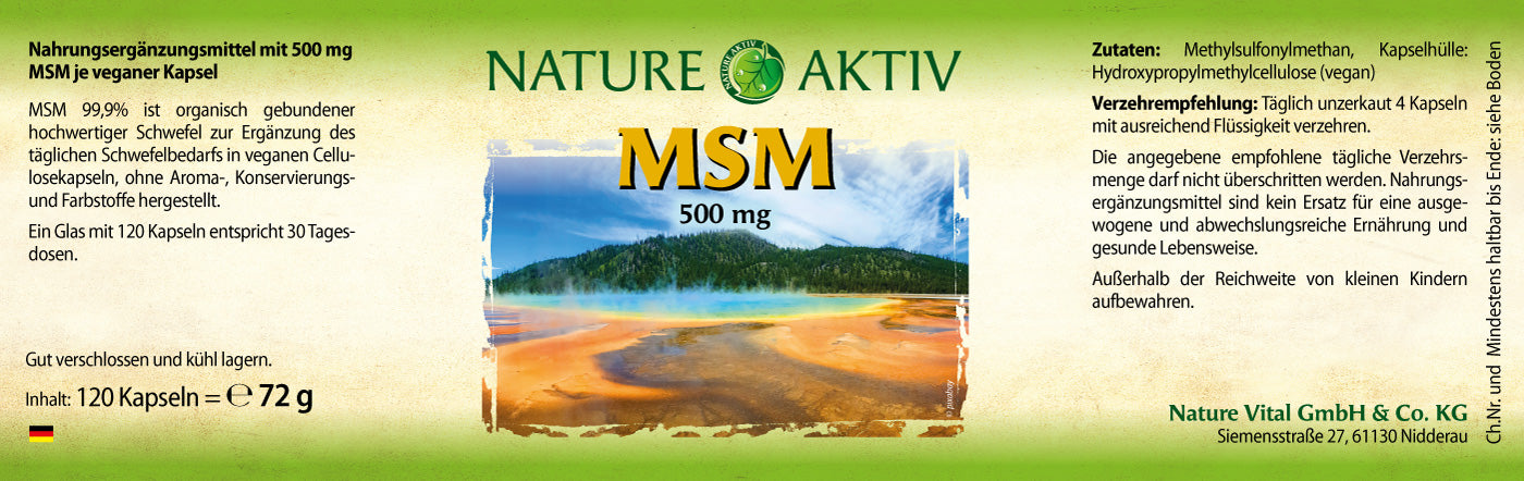 Nature Aktiv MSM – 1 Glas mit 120 Kapseln